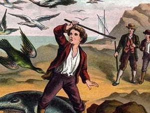 Ernest driving the birds away from a dead shark by Johann David Wyss - Art Print