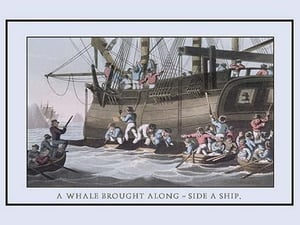 A Whale Brought Along-Side a Ship by J.H. Clark - Art Print