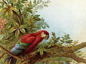 Parrot in a tree above Hummingbirds by Anton Hochstein - Art Print