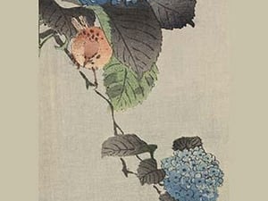 Small bird and hydrangea - Art Print
