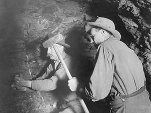 Hard Rock Miners - Art Print