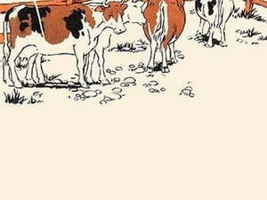 Cows on the Farm by Margaret Hoopes - Art Print