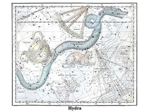 Hydra by Alexander Jamieson - Art Print