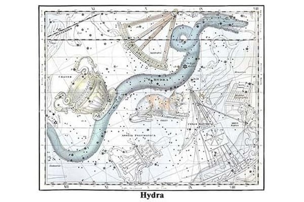 Hydra by Alexander Jamieson - Art Print