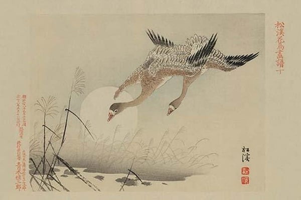 Flying Cranes - Art Print