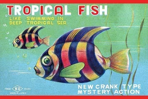 Tropical Fish #2 - Art Print