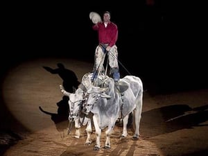 Riding the Bulls by Carol Highsmith - Art Print