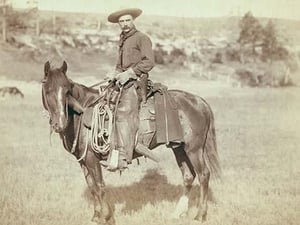 The Cow Boy by John C.H. Grabill - Art Print
