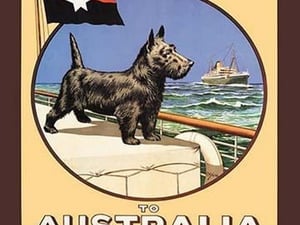 Aberdeen and Commonwealth Cruise Line to Australia - Art Print