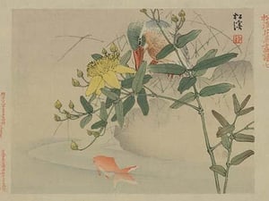 Kingfisher and Goldfish in Pond - Art Print