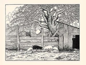 Rosaline and Piggy Joe did not have enough to eat by Luxor Price - Art Print