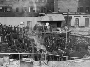 Corralled Police Horses in an Below Ground Pen prepare for strike & labor activity - Art Print