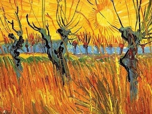 Pollard Willows at Sunset by Vincent van Gogh - Art Print