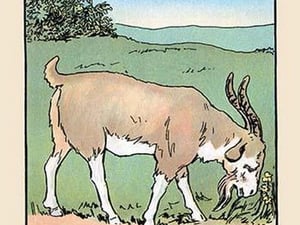 Brother Bill the Billy Goat by Julia Dyar Hardy - Art Print