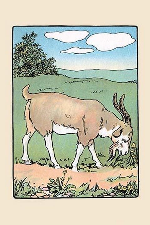 Brother Bill the Billy Goat by Julia Dyar Hardy - Art Print