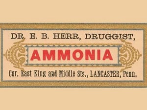 Ammonia - Art Print