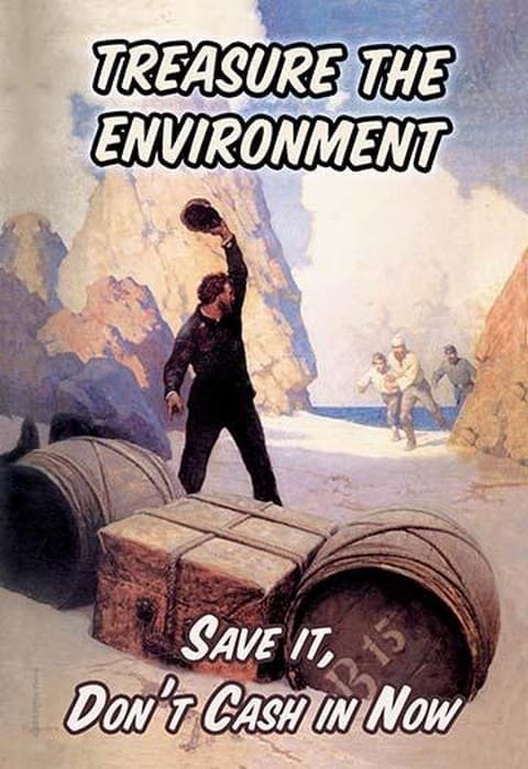 Treasure the Environment - Art Print