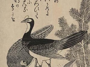 Wildfowl and pine by Katsukawa Shunsei - Art Print