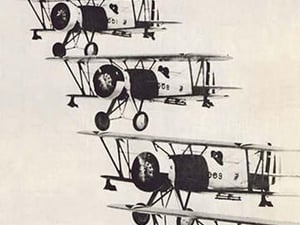 Flying in Formation - Art Print