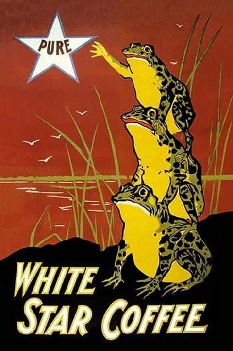 White Star Coffee by U.S. Printing Co - Art Print