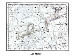 Leo Minor by Alexander Jamieson - Art Print