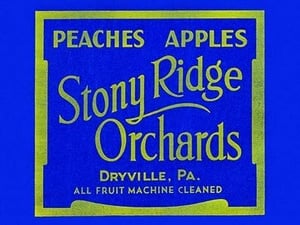 Stony Ridge Orchards Peaches & Apples - Art Print