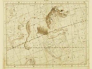 Leo the Lion by Sir John Flamsteed - Art Print