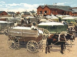 Cotton Wagons - Art Print