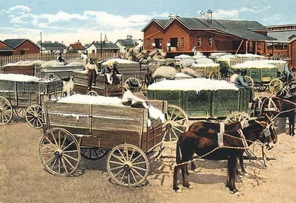 Cotton Wagons - Art Print