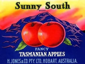 Sunny South Tasmanian Apples - Art Print
