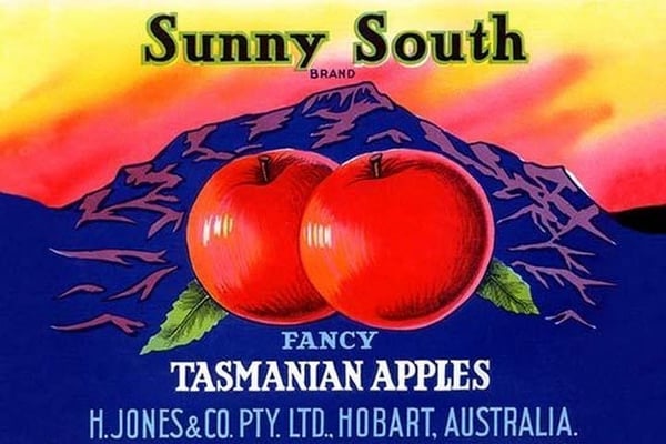 Sunny South Tasmanian Apples - Art Print
