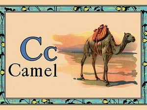 Camel #2 - Art Print