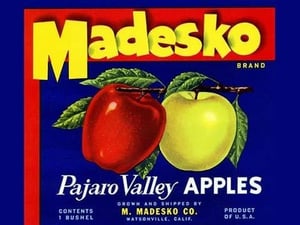 Madesko Brand Pajaro Valley Apples - Art Print
