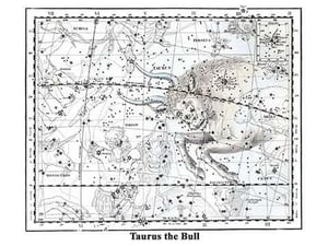 Taurus the Bull by Alexander Jamieson - Art Print