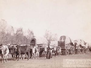 Freighting in the Black Hills by John C.H. Grabill - Art Print