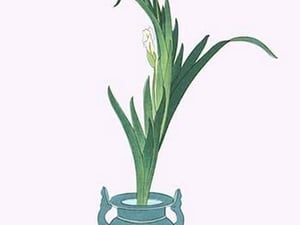 Ichihatsu (Iris Tectorum) in three legged isubo by Josiah Conder #2 - Art Print