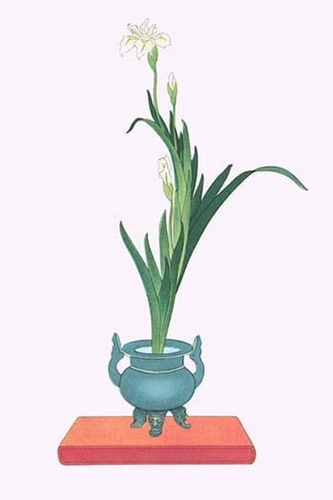 Ichihatsu (Iris Tectorum) in three legged isubo by Josiah Conder #2 - Art Print