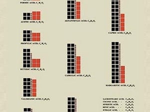 Homolgous Series of Compounds by Edward L. Youmans - Art Print