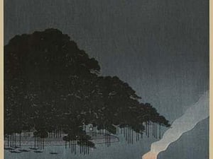 Karasaki pines at night - Art Print