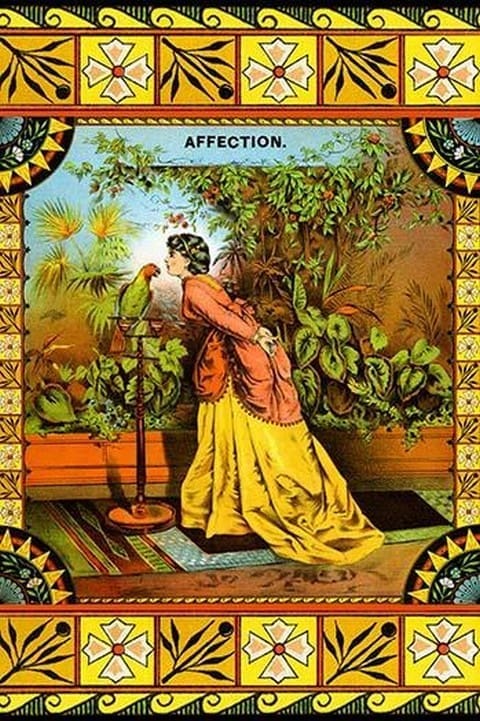 Affection - Art Print