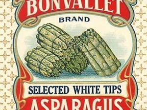 Bonvallet Selected White Tips Asparagus - Art Print