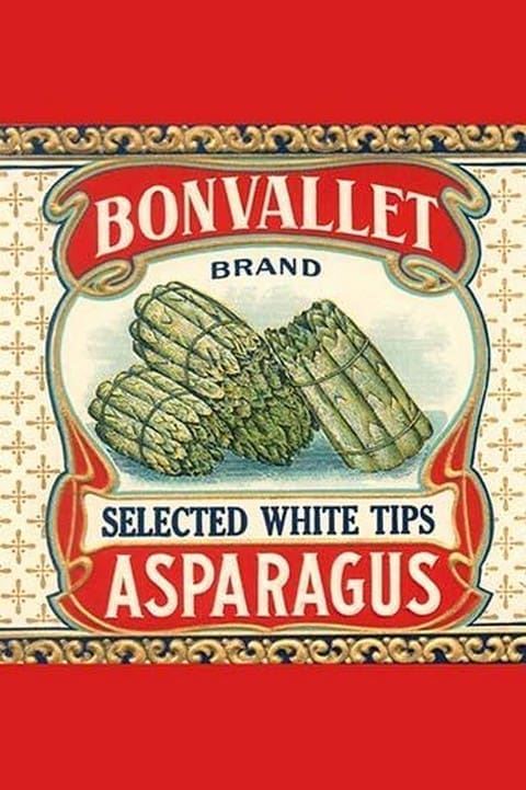 Bonvallet Selected White Tips Asparagus - Art Print