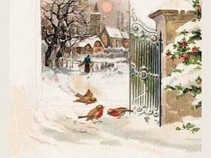 Christmas Robins - Art Print