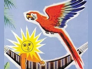 Fly to South America by Jean Dubois - Art Print