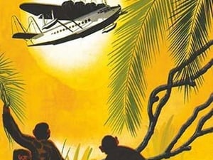 Fly Air Bermuda - Art Print