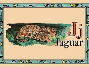 Jaguar - Art Print