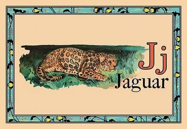 Jaguar - Art Print