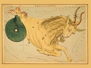 Capricorn by Aspin Jehosaphat - Art Print