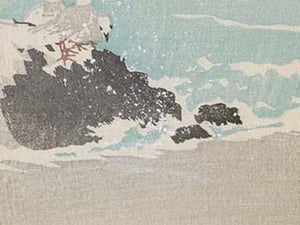 Plovers over waves - Art Print