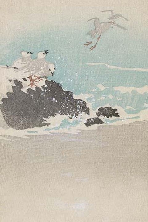 Plovers over waves - Art Print